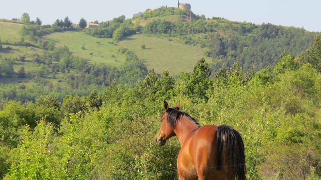 Les Gites D'Eliane Laragne-Monteglin Exterior photo