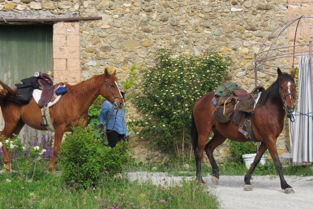 Les Gites D'Eliane Laragne-Monteglin Exterior photo