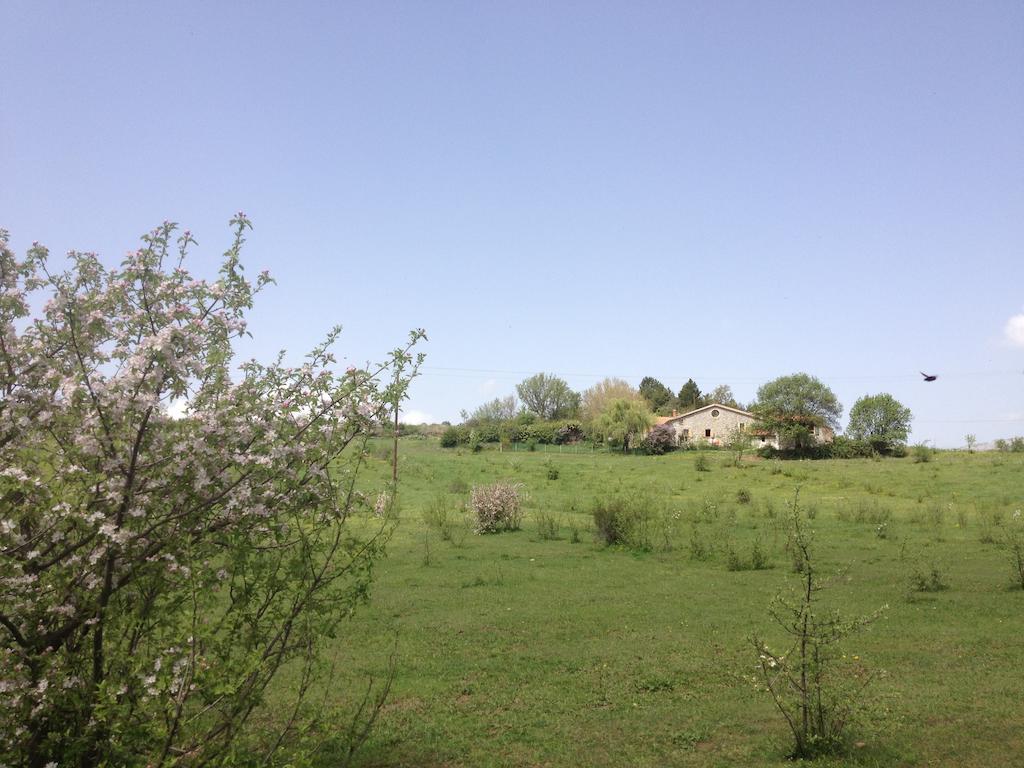 Les Gites D'Eliane Laragne-Monteglin Exterior photo